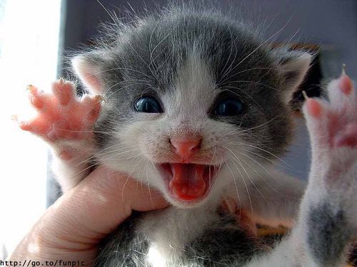 Анастасия Е