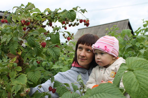Татьяна Родникова