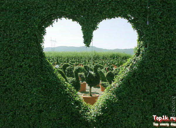 Андрей Жидко