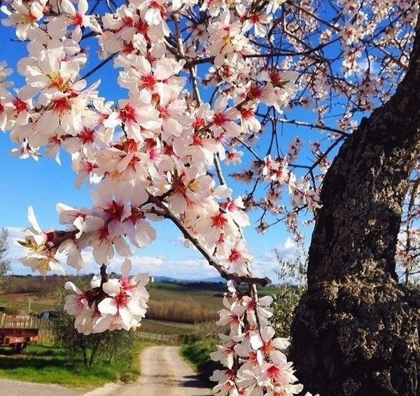 Татьяна Татьяна