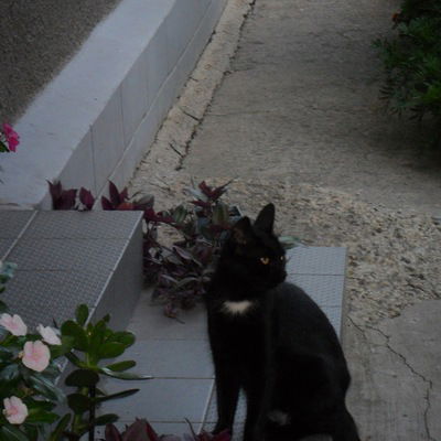 Елена Васильева