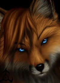 Никита Лысенко