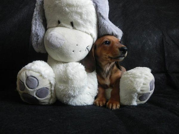 Александра Варенцова