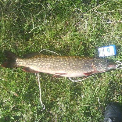 Кристиан Аршихин