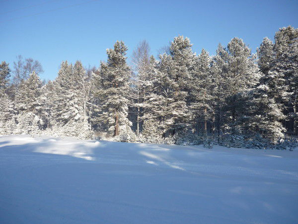 Козунова Елена