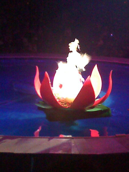 Анна Черняева