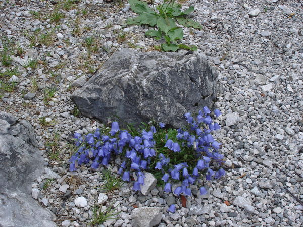 Евгения Курочкина