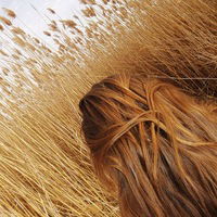 Александра Домбровская