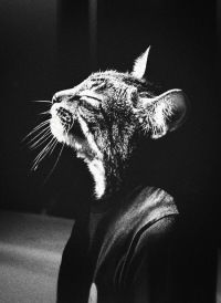 Анатолий Дымчоров