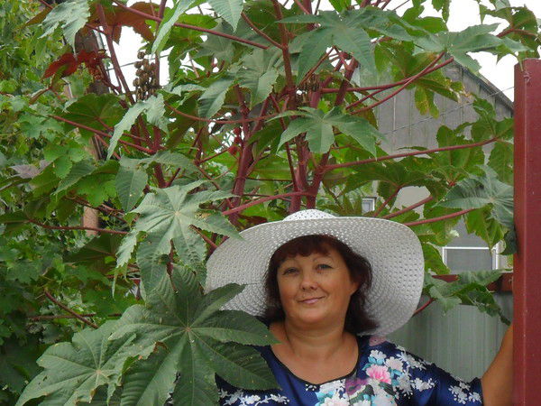 Надежда Маглова