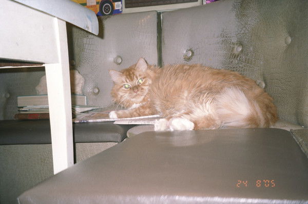 Aндрей Cергеев