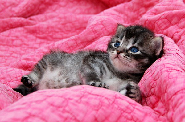 Надежда @ Надежда