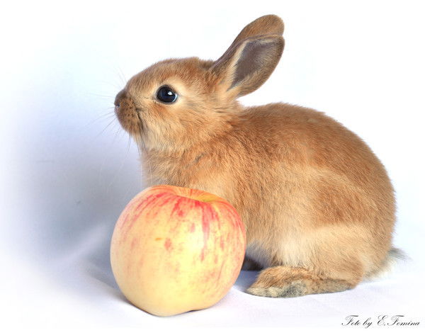 Альбина Канчурина