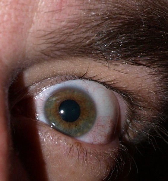 Евгений Норкин