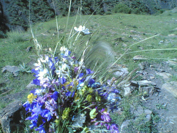 Мария Абдулхаликова