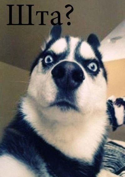 Степан Бухвалов