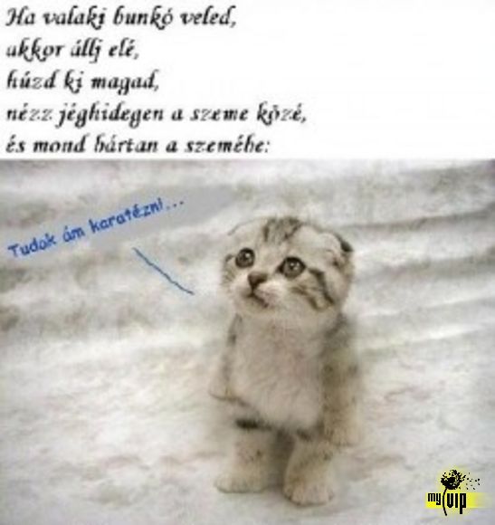 Елена Багрянцева