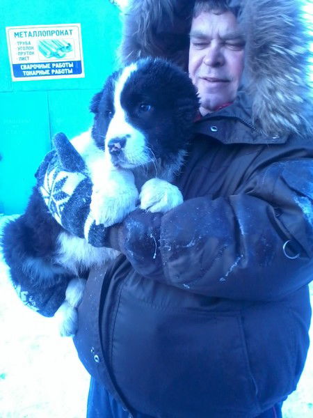 Александрк Сычов