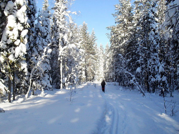 Валентина Ершова