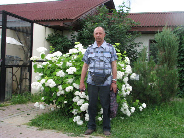 Поляк Поляк