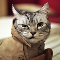 Колян Гайдуков