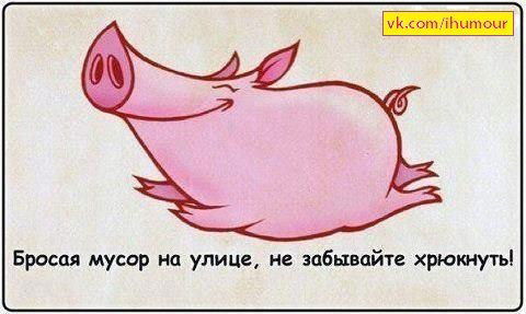 Павел Щёкин