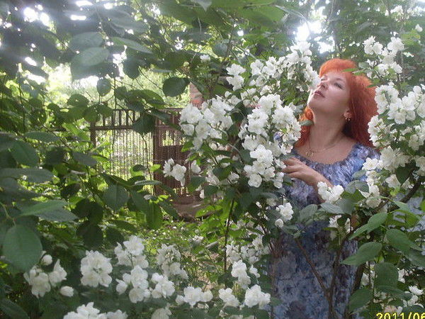 Наталья Желябовская