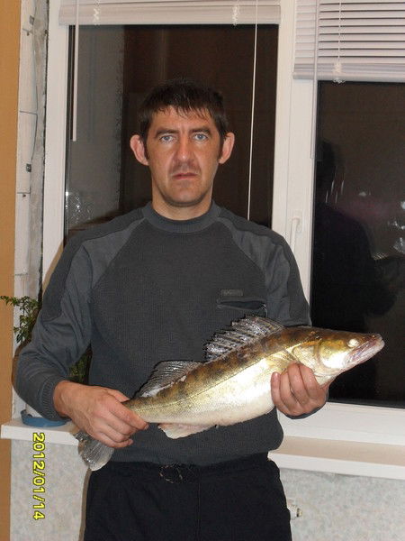 Дмитрий Шамшин