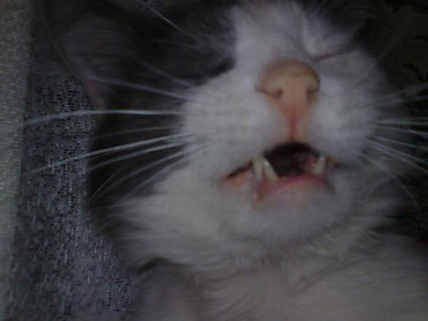 Денис Титов