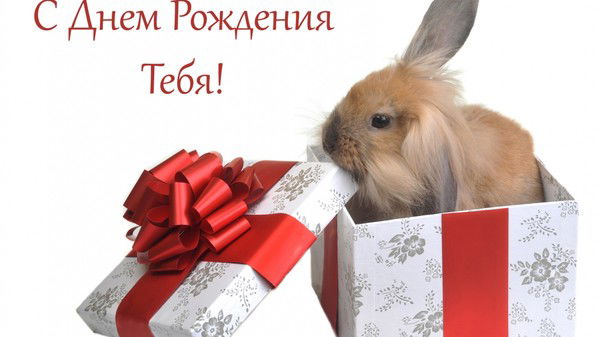 Ирина Шамрило