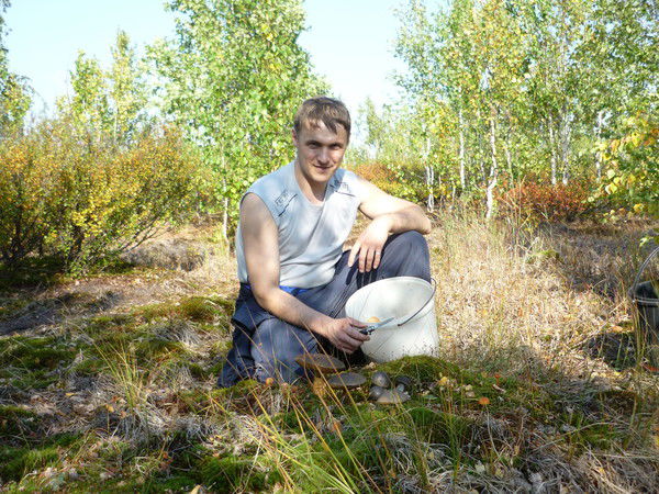 Николай Мингалёв