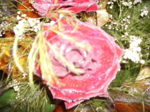 Олеся Гресик