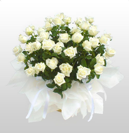 Жулдыз Кушербаева