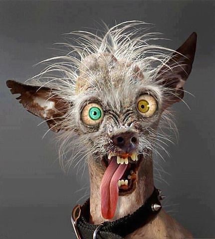 Андрей Ткачев