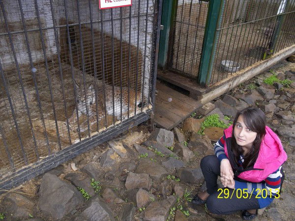 Ангелина Колобова