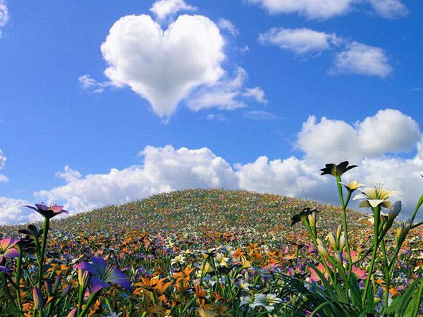 Бухгалтер Акмола Оти