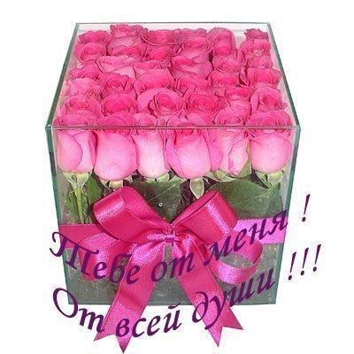 Виктория Швецова