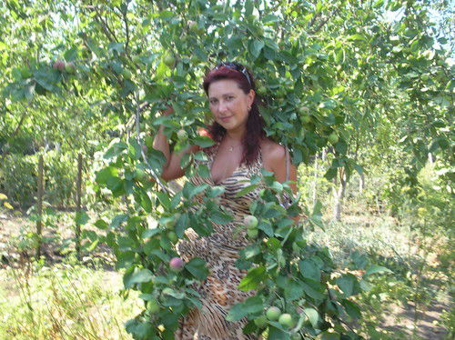 Светлана Никитина