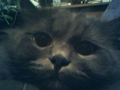 Ярослав Туровский