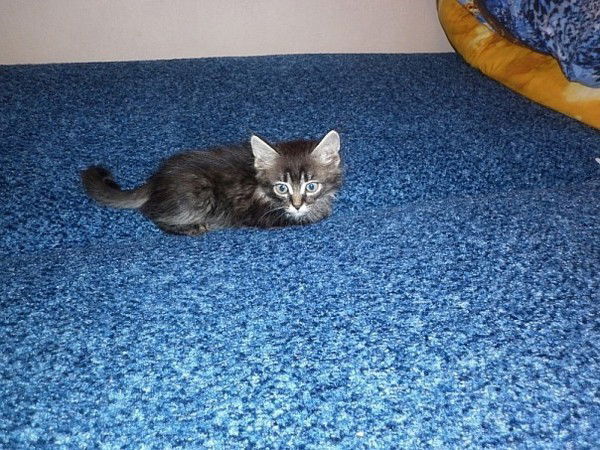 Ирина Ивановна