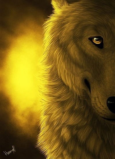 Ася Тоторкулова