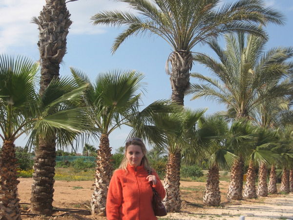 Елена Жилинская