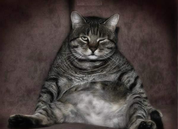 Михаил Кремнёв