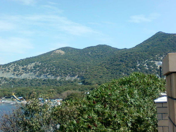 Люба Кузьмина