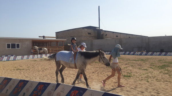 Диана Бабенко