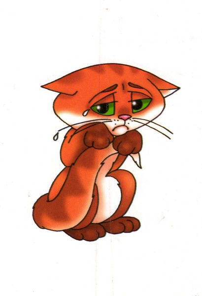 Тв Здоровое