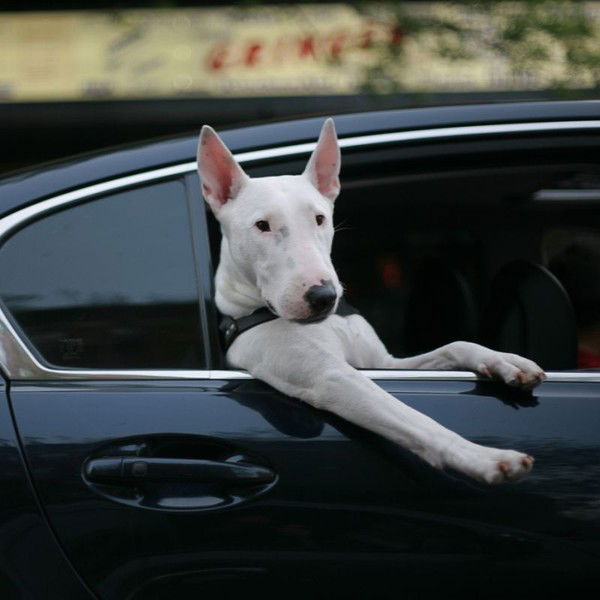 Павел Глоба