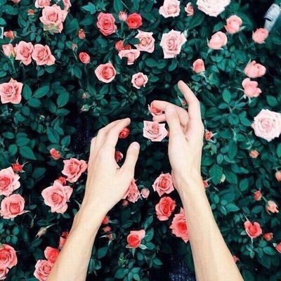 Светлана Хоранова