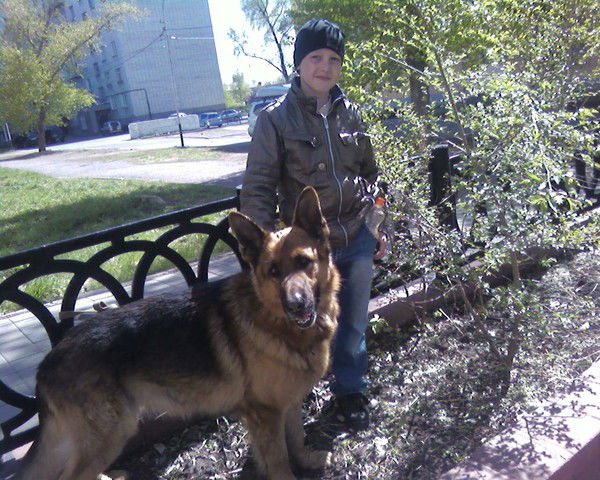 Игорь Носков