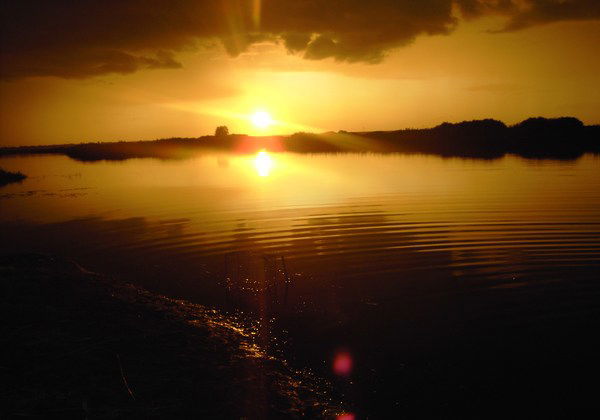 Николай Поляничко